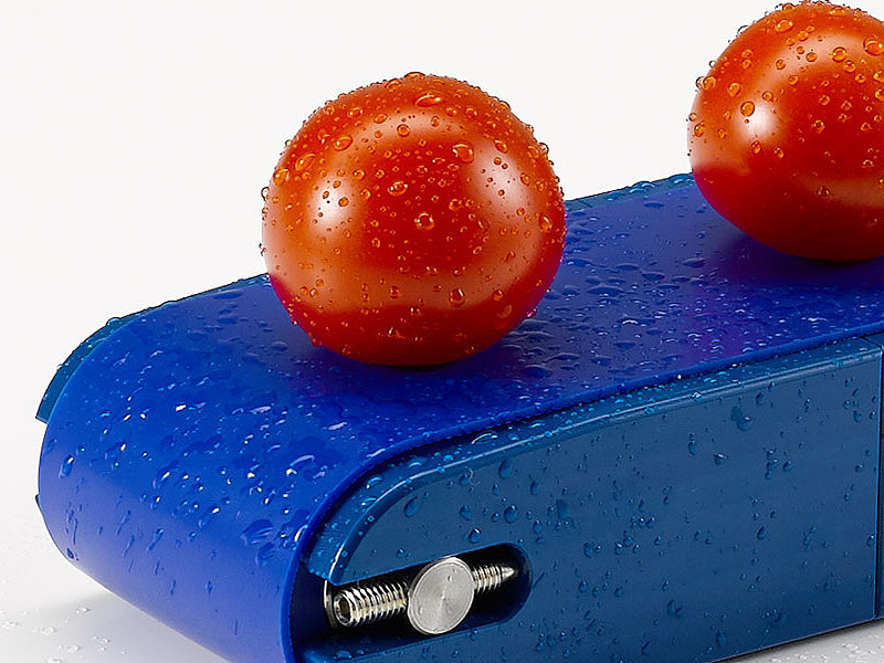 Förderband FR-40-80-Q-P Transport von Tomaten